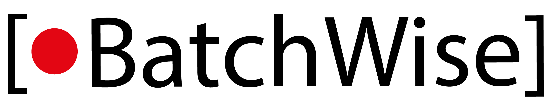BatchWise Logo